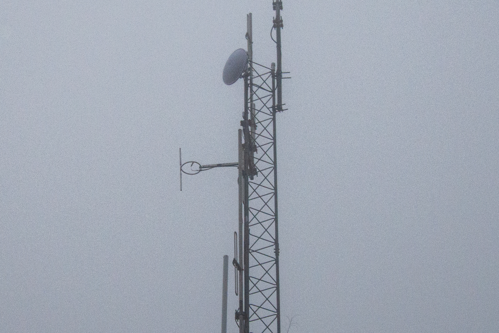 WRBN-LP Antenna at Black Rock Mountain