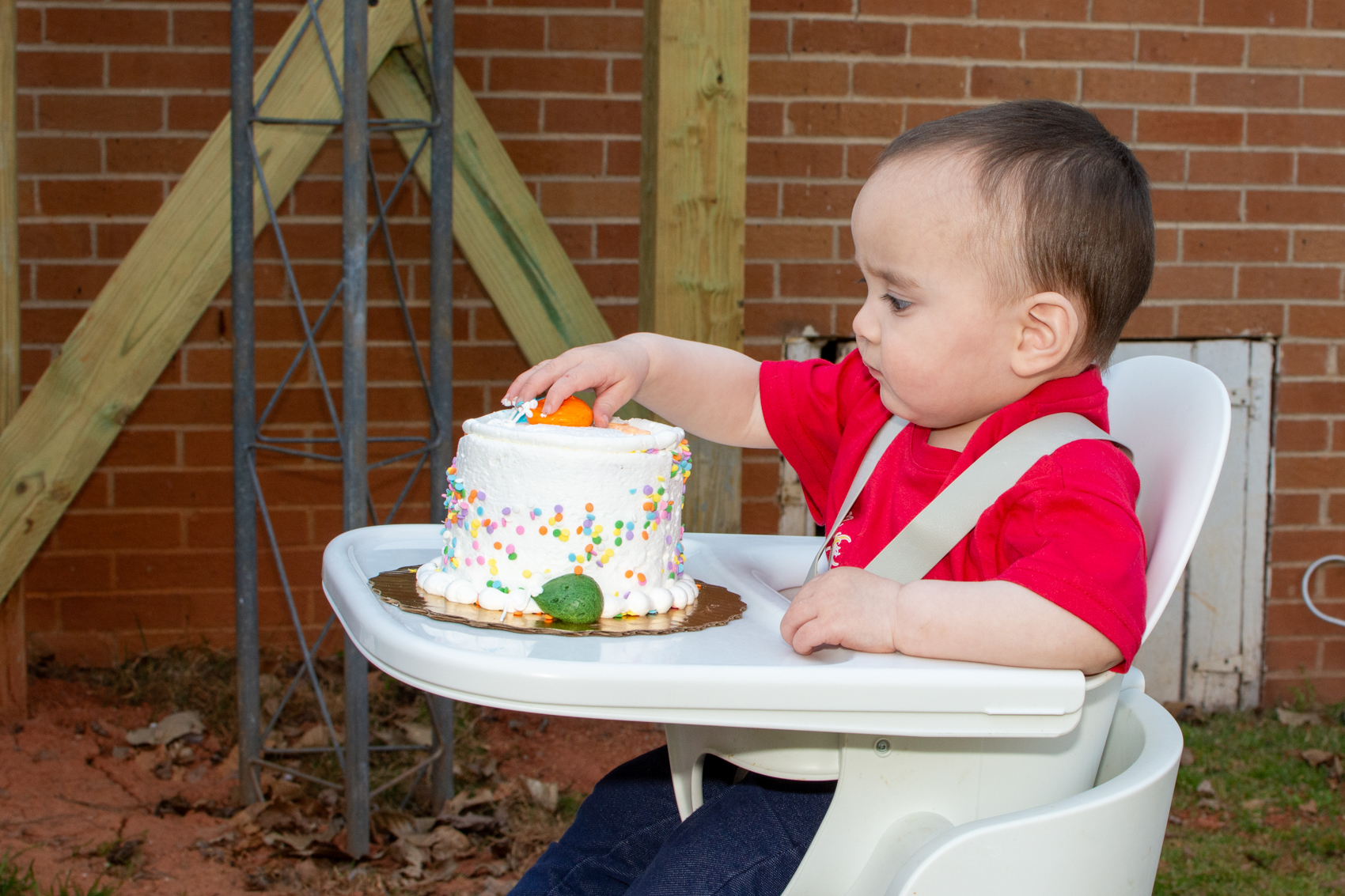 Carol Ann's First Birthday Party